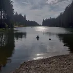 Prázdninový dům Haus-salamander-mit-sauna *