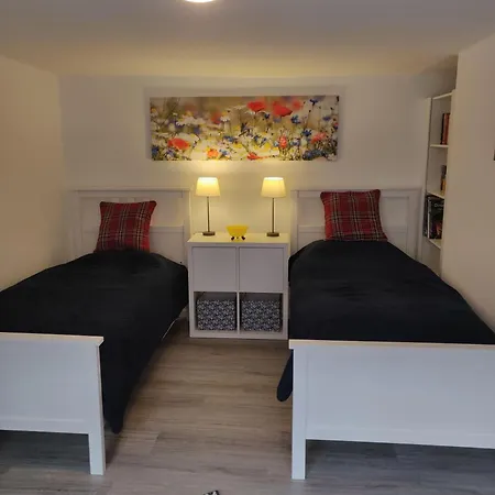 Haus-salamander-mit-sauna Вильдеманн