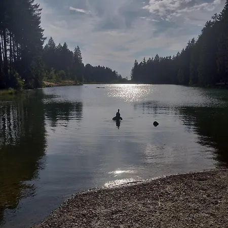 Дом отдыха Haus-salamander-mit-sauna *