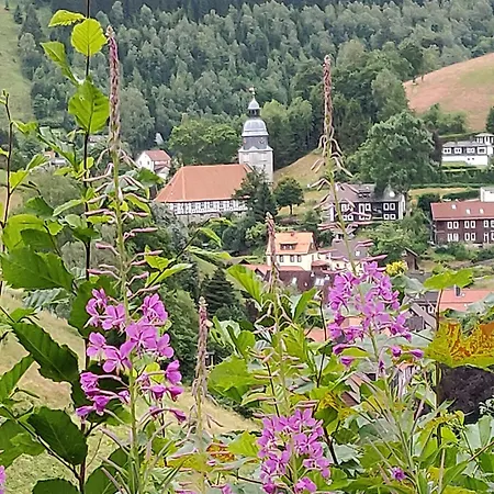 Haus-salamander-mit-sauna Дом отдыха
