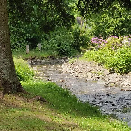 Haus-salamander-mit-sauna * Вильдеманн