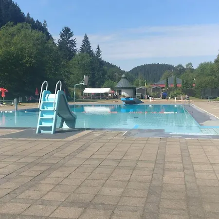 Haus-salamander-mit-sauna * Вильдеманн