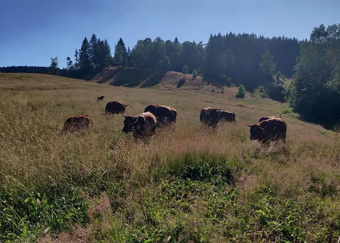 Σπίτι διακοπών Haus-salamander-mit-sauna
