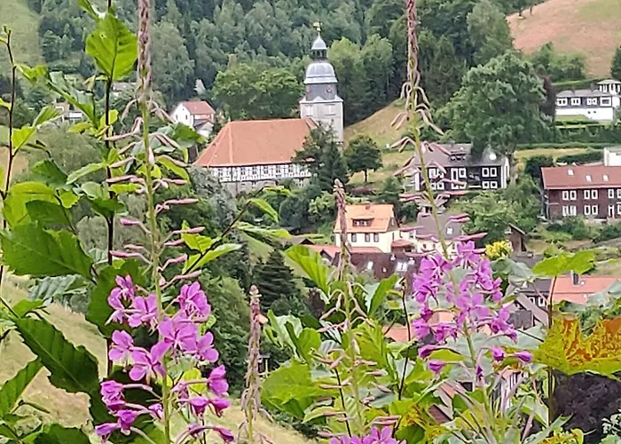 Haus-salamander-mit-sauna *