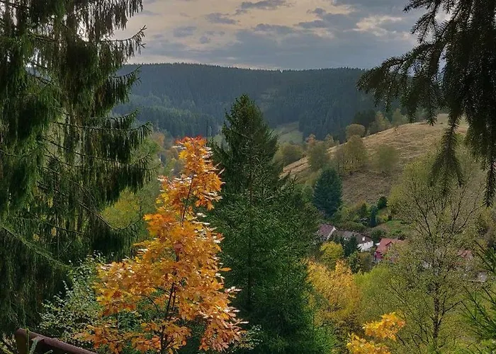 Haus-salamander-mit-sauna Σπίτι διακοπών Wildemann